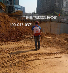 廣州預防白蟻專業(yè)公司 廣州預防白蟻專業(yè)公司