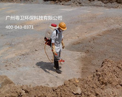 廣州專業(yè)預(yù)防白蟻公司