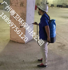 廣州預防白蟻公司