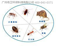 廣州四害消殺公司